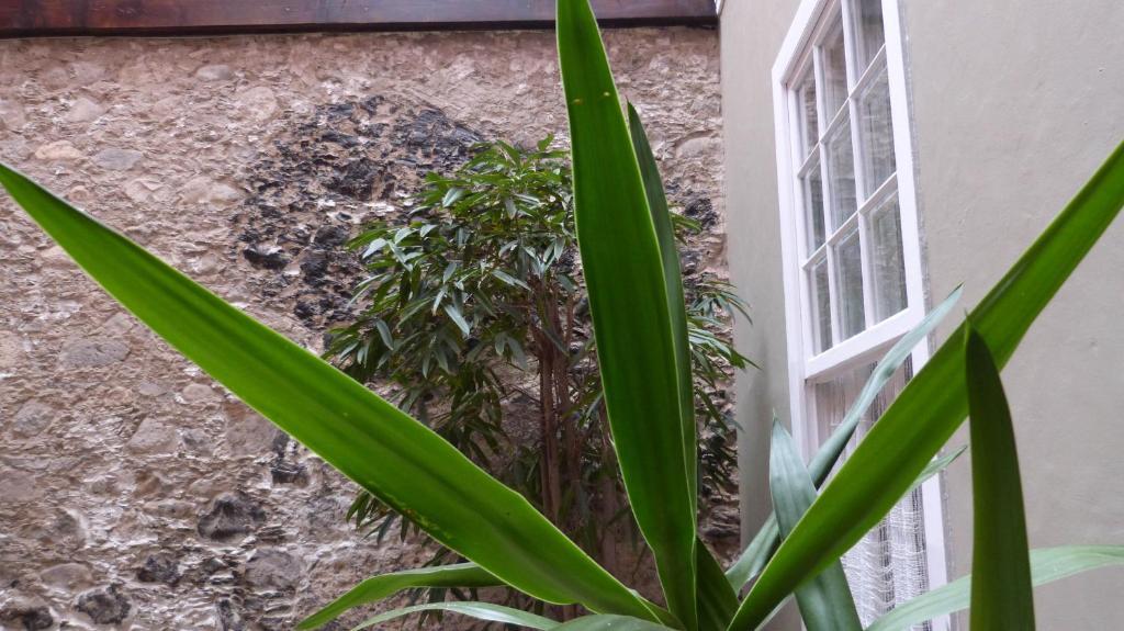 ラスパルマス・デ・グランカナリアLa Casa De Veguetaアパートメント エクステリア 写真